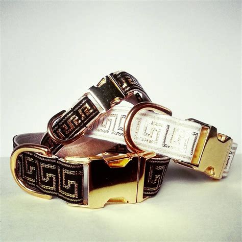 versace dog collar large|Versace dog harness.